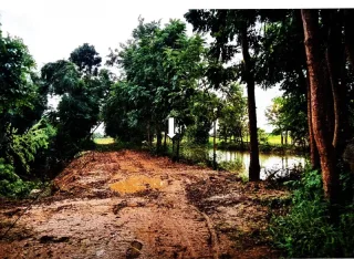 รูปทรัพย์ 1