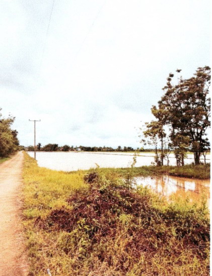 ขายทอดตลาด ที่ดินว่างเปล่า ต.วังใหญ่ อ.ศรีสำโรง จ.สุโขทัย