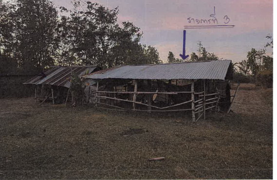 ขายทอดตลาด ที่ดินพร้อมสิ่งปลูกสร้าง ต.แจระแม อ.เมืองอุบลราชธานี จ.อุบลราชธานี