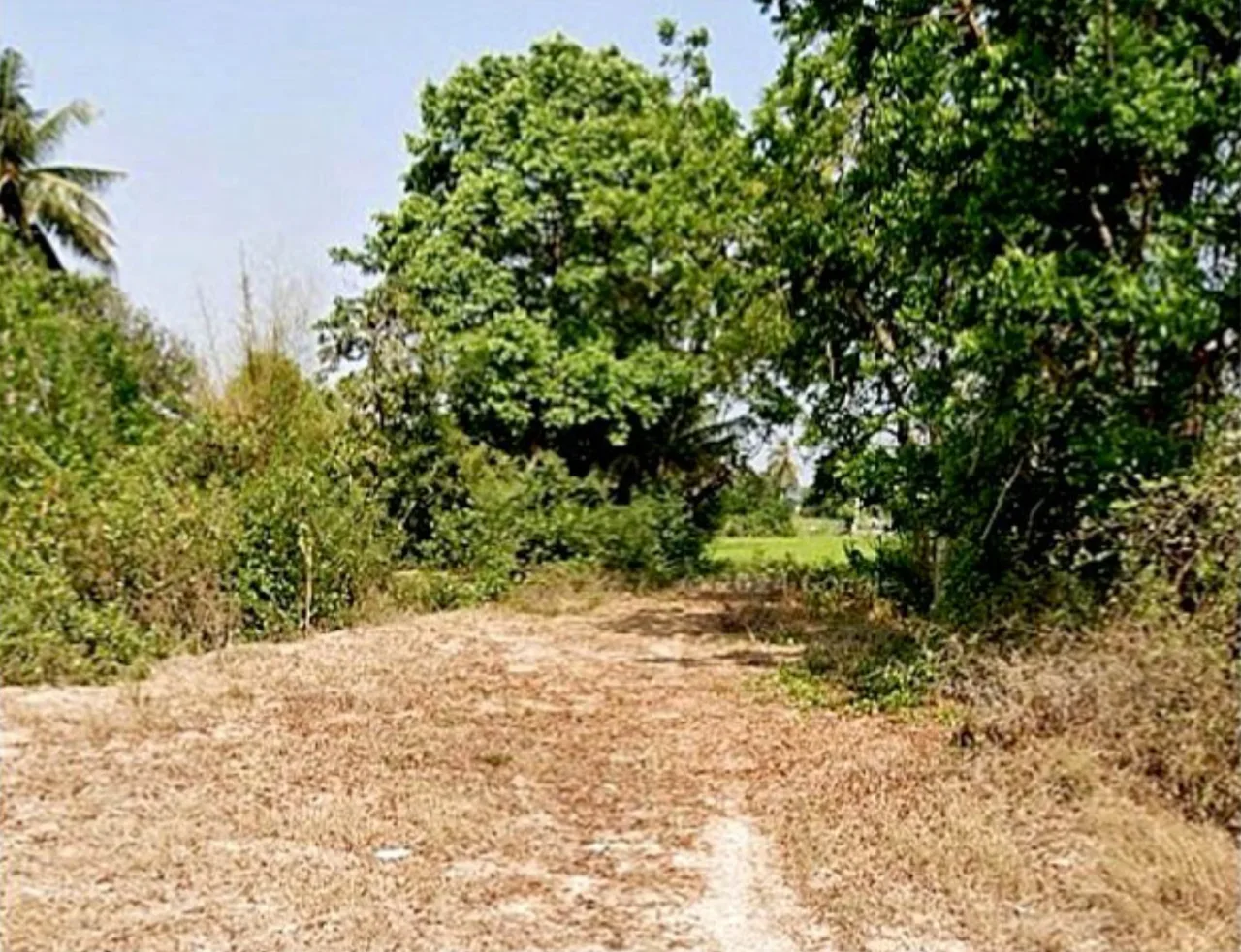 ขายทอดตลาด ที่ดินว่างเปล่า ต.ศาลาขาว อ.เมืองสุพรรณบุรี จ.สุพรรณบุรี