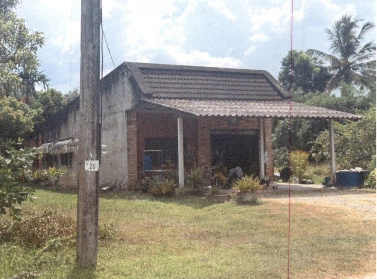 ขายทอดตลาด ที่ดินพร้อมสิ่งปลูกสร้าง ต.ท่าเรือ อ.บ้านนาเดิม จ.สุราษฎร์ธานี