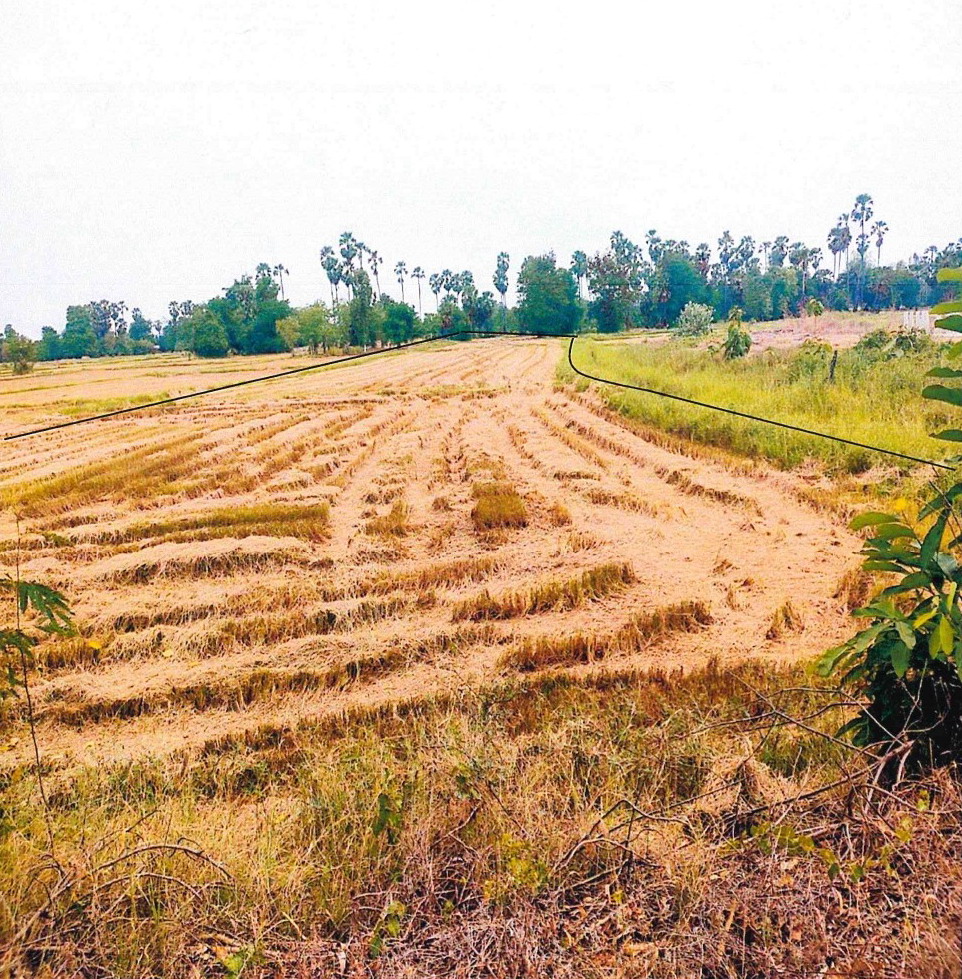 ขายทอดตลาด ที่ดินว่างเปล่า ต.(ทุ่งหลวง) บ้านป้อม อ.คีรีมาศ จ.สุโขทัย