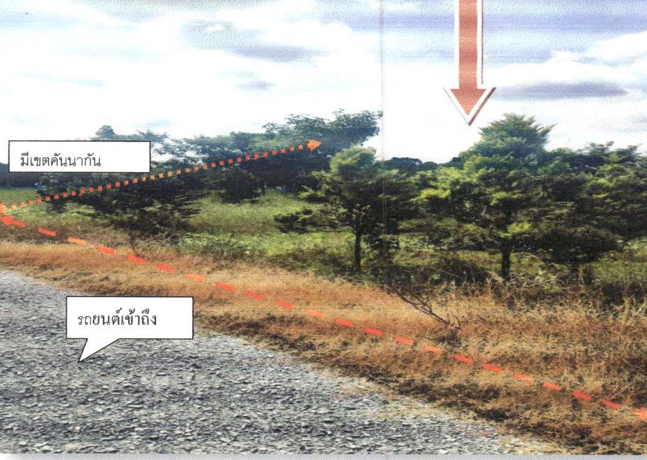 ขายทอดตลาด ที่ดินว่างเปล่า ต.ดอนปรู อ.ศรีประจันต์ จ.สุพรรณบุรี