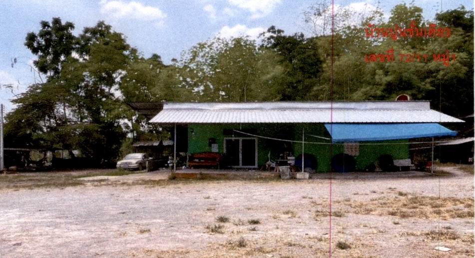 ขายทอดตลาด ที่ดินพร้อมสิ่งปลูกสร้าง ต.พะแสง อ.บ้านตาขุน จ.สุราษฎร์ธานี