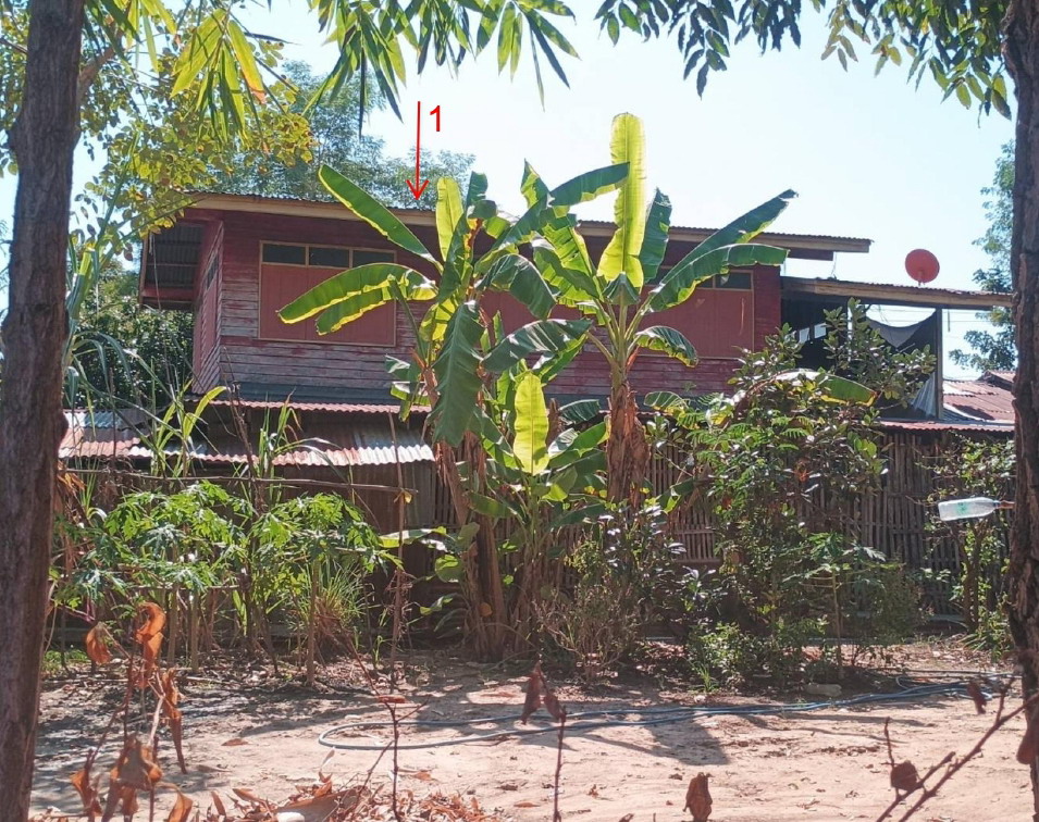 ขายทอดตลาด ที่ดินพร้อมสิ่งปลูกสร้าง ต.ท่าฉนวน อ.กงไกรลาศ จ.สุโขทัย