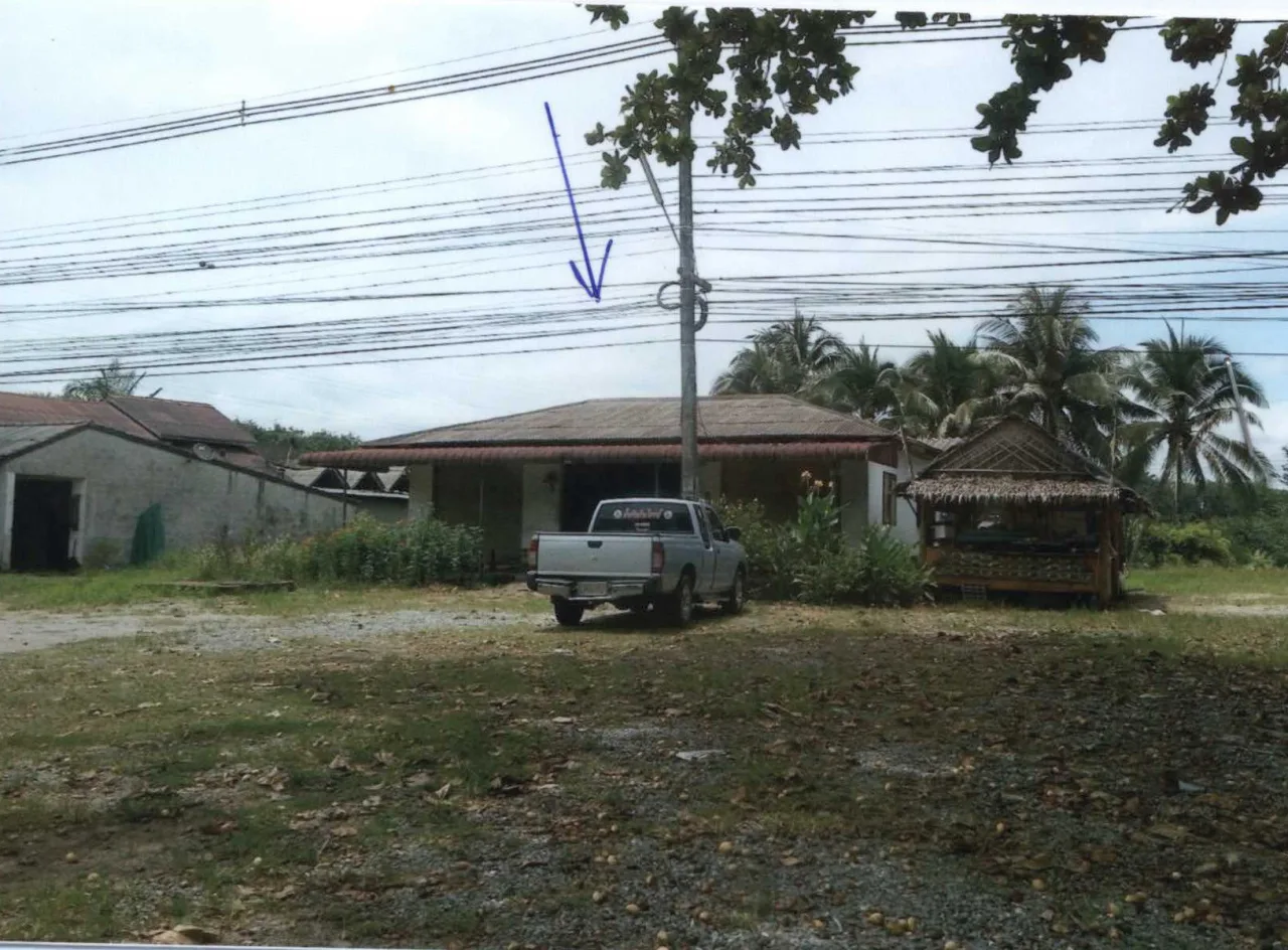 ขายทอดตลาด ที่ดินพร้อมสิ่งปลูกสร้าง ต.พังกาญจน์ อ.พนม จ.สุราษฎร์ธานี