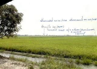 รูปทรัพย์ 3