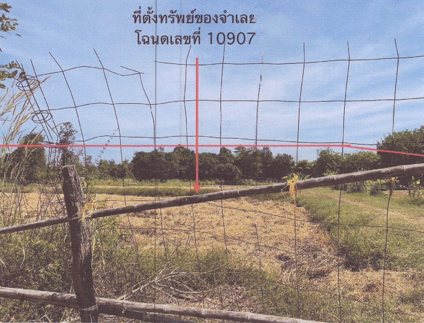 ขายทอดตลาด ที่ดินว่างเปล่า ต.คำไฮใหญ่ อ.ดอนมดแดง จ.อุบลราชธานี