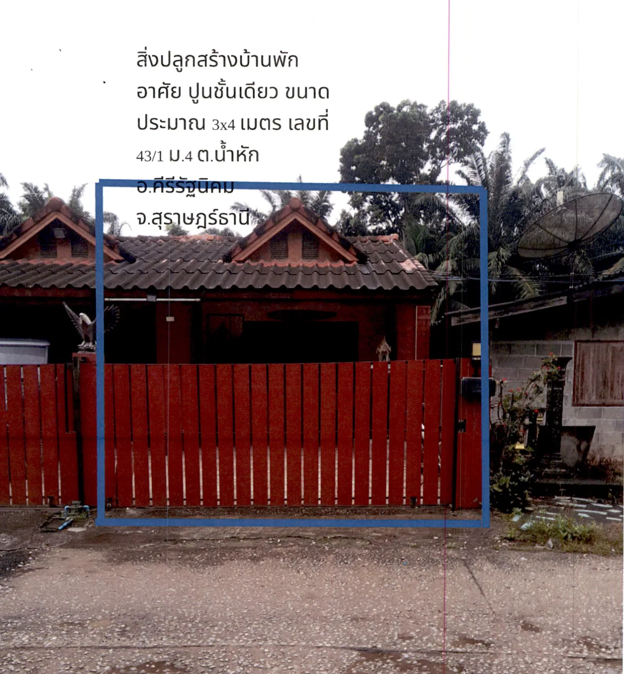 ขายทอดตลาด ที่ดินพร้อมสิ่งปลูกสร้าง ต.น้ำหัก อ.คีรีรัฐนิคม จ.สุราษฎร์ธานี