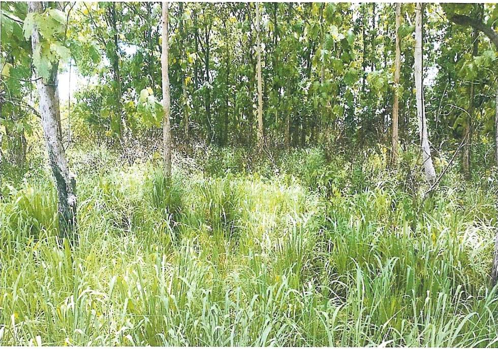 ขายทอดตลาด ที่ดินพร้อมสิ่งปลูกสร้าง ต.โตนด อ.คีรีมาศ จ.สุโขทัย