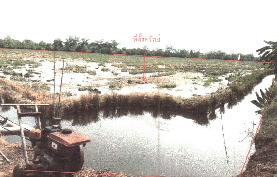 ขายทอดตลาด ที่ดินว่างเปล่า ต.บางตะเคียน อ.สองพี่น้อง จ.สุพรรณบุรี