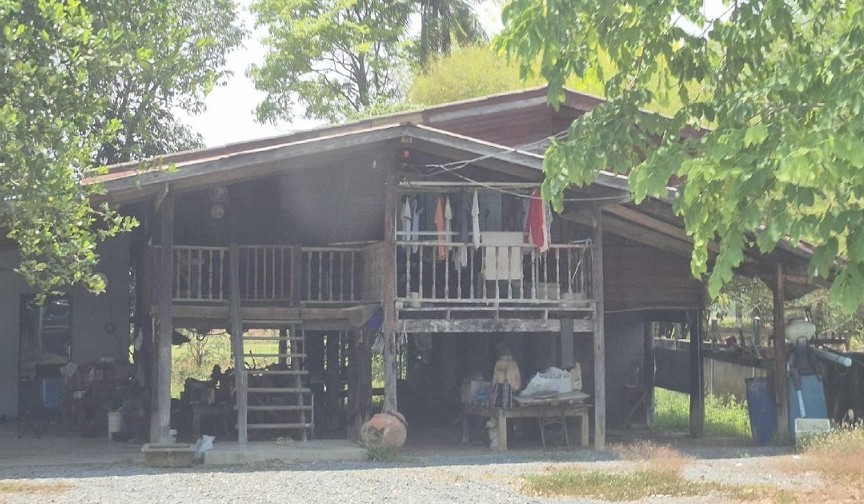 ขายทอดตลาด ที่ดินพร้อมสิ่งปลูกสร้าง ต.หนองสะเดา อ.สามชุก จ.สุพรรณบุรี