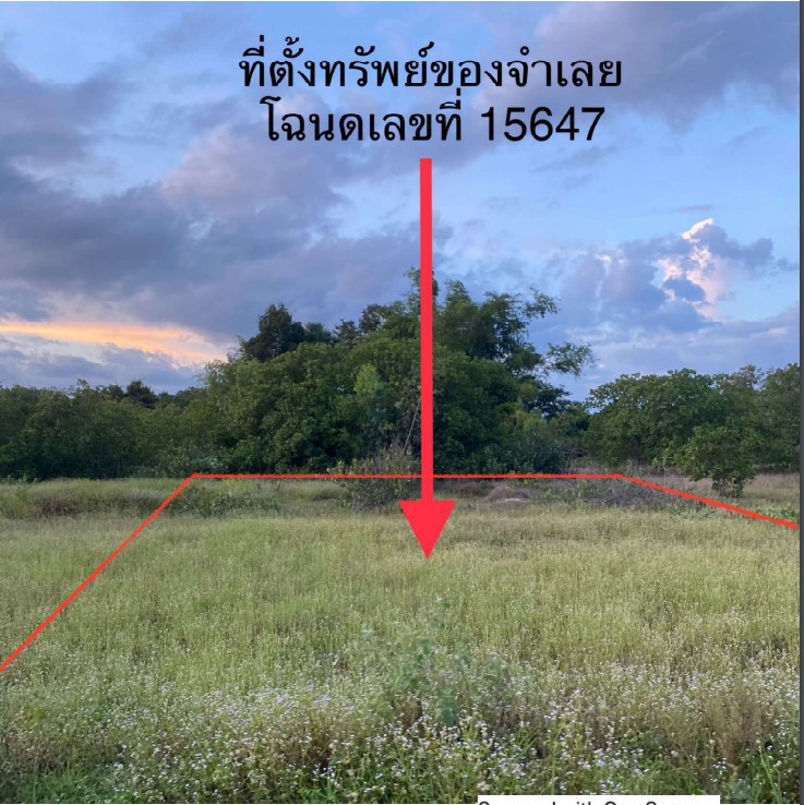 ขายทอดตลาด ที่ดินว่างเปล่า ต.หนองบก อ.เหล่าเสือโก้ก จ.อุบลราชธานี