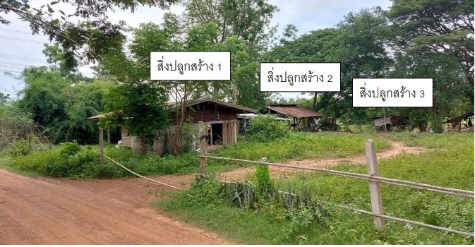 ขายทอดตลาด ที่ดินพร้อมสิ่งปลูกสร้าง ต.ป่ามะนาว อ.บ้านฝาง จ.ขอนแก่น
