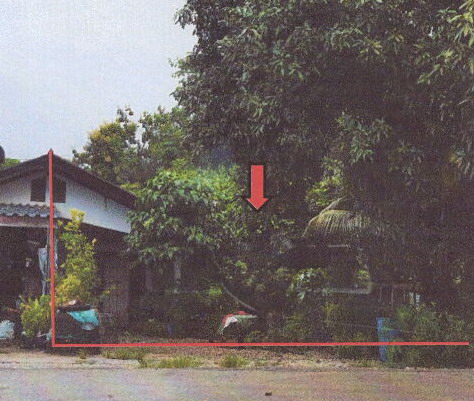 ขายทอดตลาด ที่ดินพร้อมสิ่งปลูกสร้าง ต.คลองขนาน อ.กิ่งอำเภอเหนือคลอง จ.กระบี่