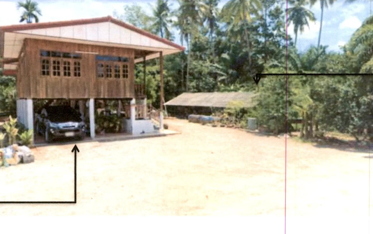 ขายทอดตลาด ที่ดินพร้อมสิ่งปลูกสร้าง ต.ลีเล็ด อ.พุนพิน จ.สุราษฎร์ธานี
