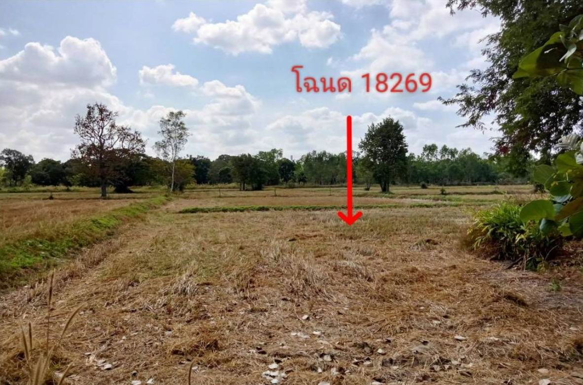 ขายทอดตลาด ที่ดินว่างเปล่า ต.โนนกลาง อ.สำโรง จ.อุบลราชธานี