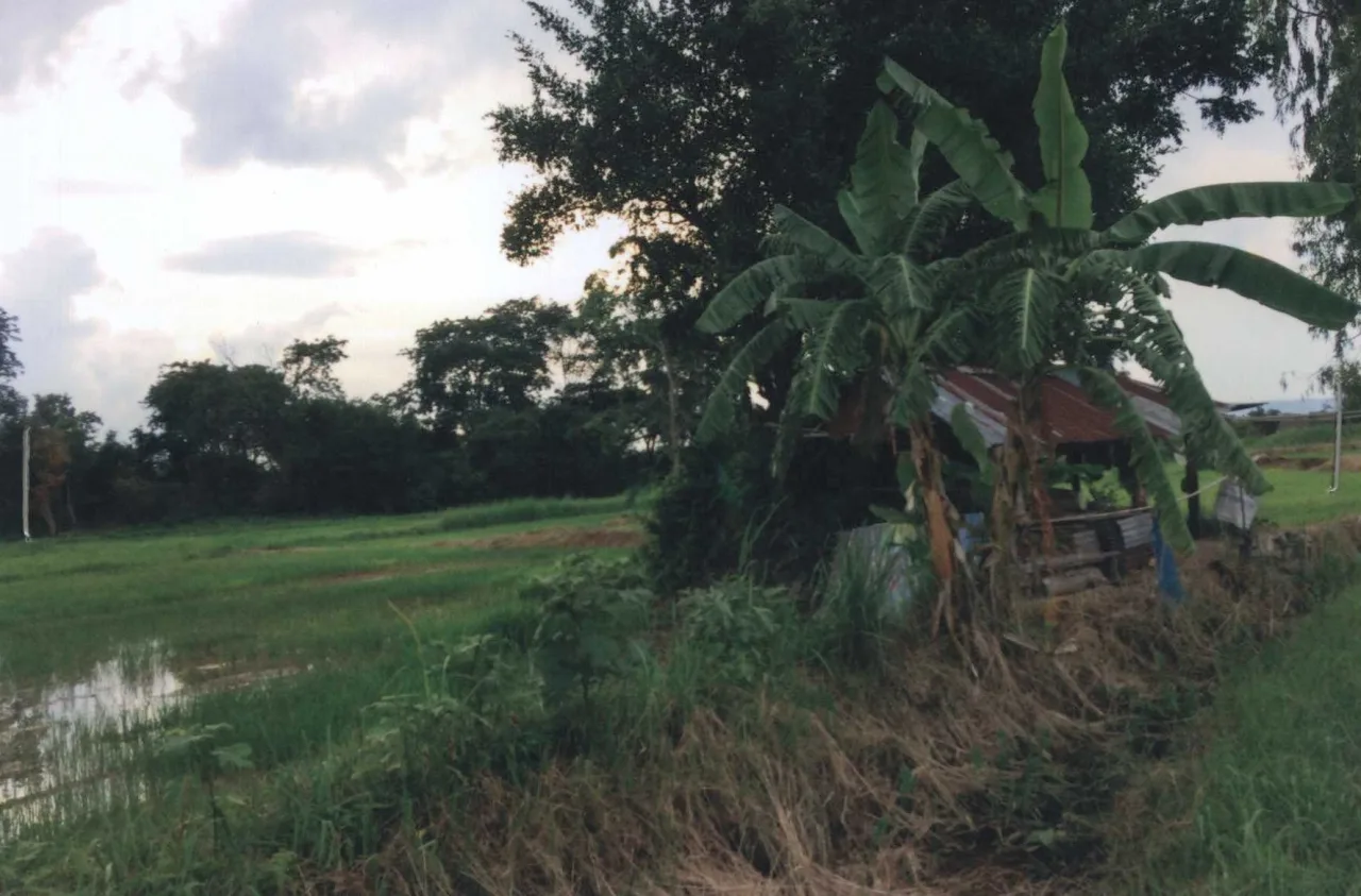 ขายทอดตลาด ที่ดินว่างเปล่า ต.กุดเค้า อ.มัญจาคีรี จ.ขอนแก่น