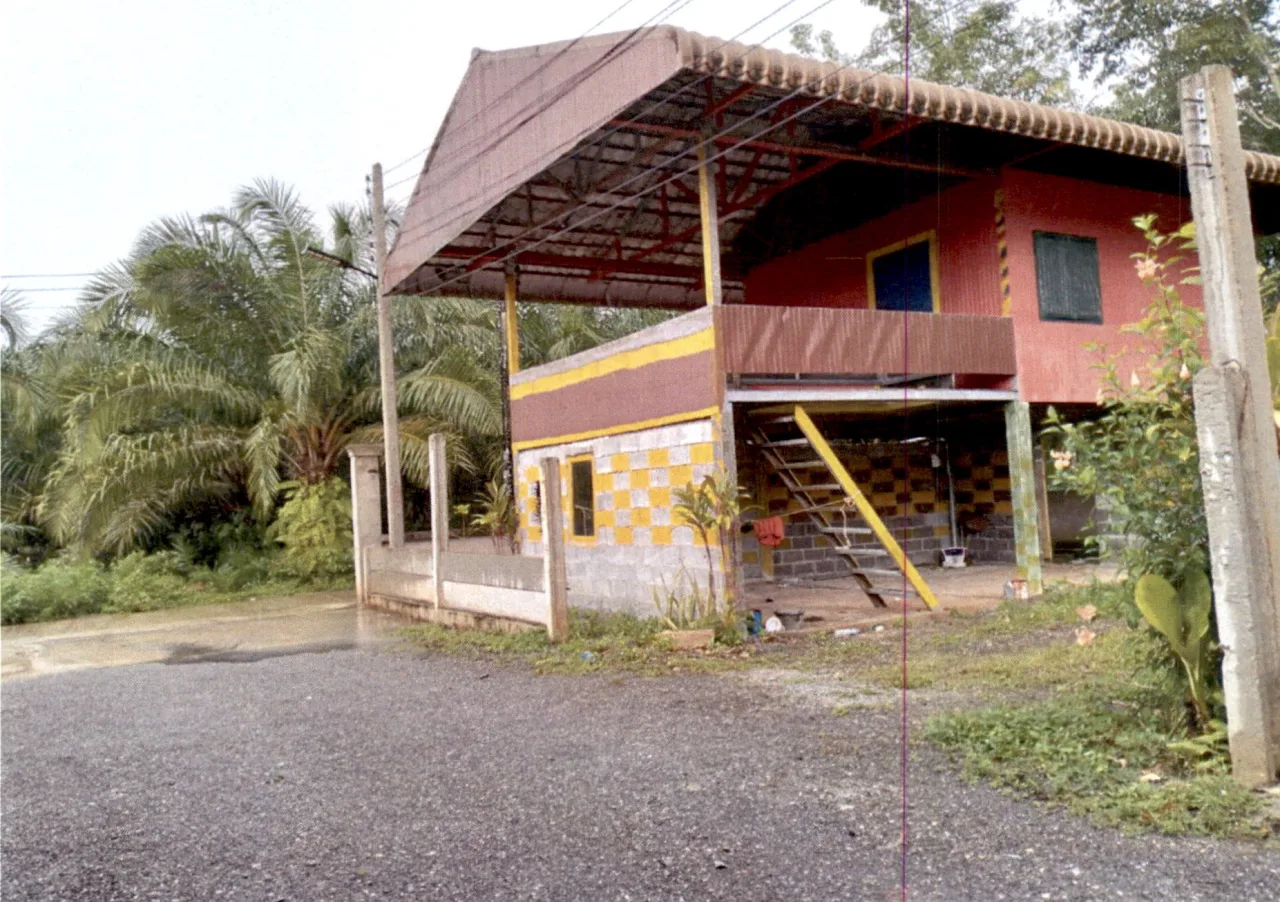 ขายทอดตลาด ที่ดินพร้อมสิ่งปลูกสร้าง ต.หัวเตย อ.พุนพิน จ.สุราษฎร์ธานี