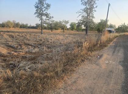 ขายทอดตลาด ที่ดินว่างเปล่า ต.โพธิ์ศรี อ.พิบูลมังสาหาร จ.อุบลราชธานี