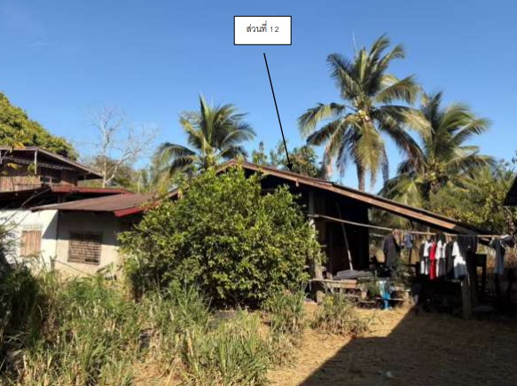 ขายทอดตลาด ที่ดินพร้อมสิ่งปลูกสร้าง ต.ตระการ อ.ตระการพืชผล จ.อุบลราชธานี