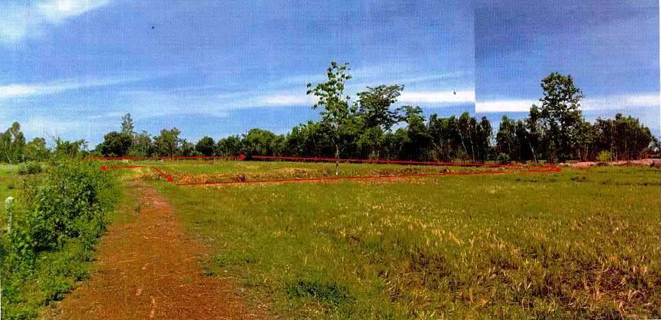 ขายทอดตลาด ที่ดินว่างเปล่า ต.วัดธาตุ อ.เมืองหนองคาย จ.หนองคาย