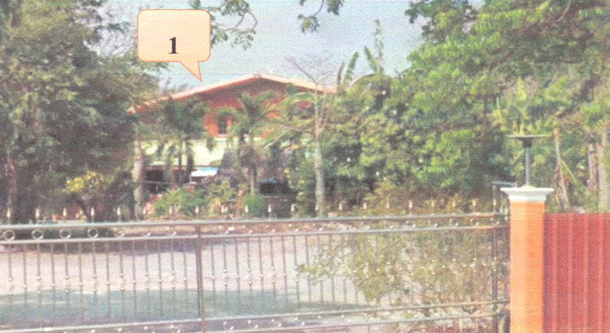 ขายทอดตลาด ที่ดินพร้อมสิ่งปลูกสร้าง ต.พลับพลาไชย อ.อู่ทอง จ.สุพรรณบุรี