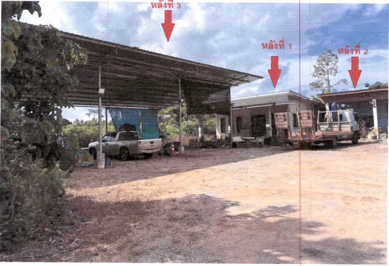ขายทอดตลาด ที่ดินพร้อมสิ่งปลูกสร้าง ต.ปากแพรก อ.ดอนสัก จ.สุราษฎร์ธานี