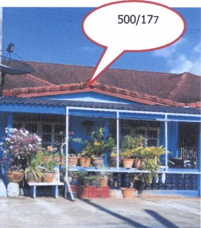 ขายทอดตลาด ที่ดินพร้อมสิ่งปลูกสร้าง ต.ท่าข้าม อ.พุนพิน จ.สุราษฎร์ธานี