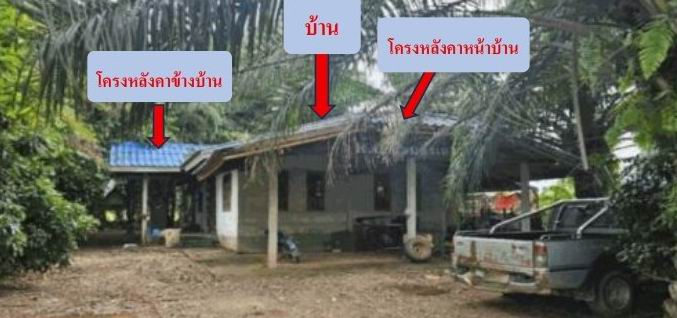 ขายทอดตลาด ที่ดินพร้อมสิ่งปลูกสร้าง ต.จุมพล อ.โพนพิสัย จ.หนองคาย