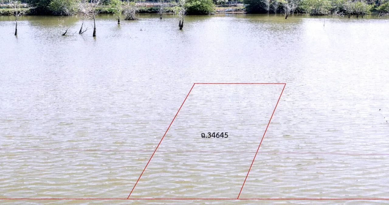 ขายทอดตลาด ที่ดินว่างเปล่า ต.กะแดะ อ.กาญจนดิษฐ์ จ.สุราษฎร์ธานี