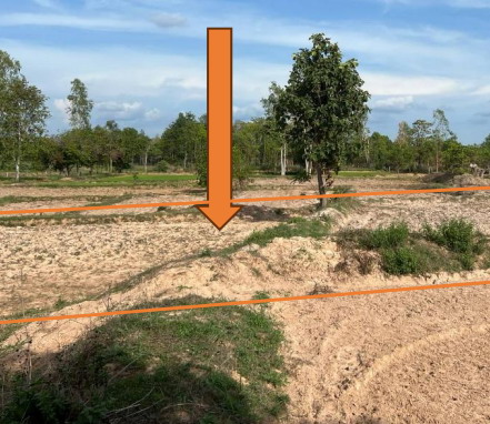 ขายทอดตลาด ที่ดินว่างเปล่า ต.หัวนา อ.เขมราฐ จ.อุบลราชธานี