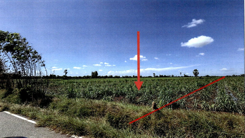 ขายทอดตลาด ที่ดินว่างเปล่า ต.จรเข้สามพัน อ.อู่ทอง จ.สุพรรณบุรี