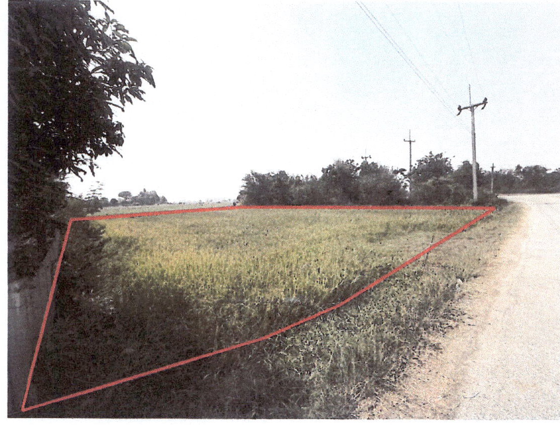 ขายทอดตลาด ที่ดินว่างเปล่า ต.หนองสาหร่าย อ.ดอนเจดีย์ จ.สุพรรณบุรี