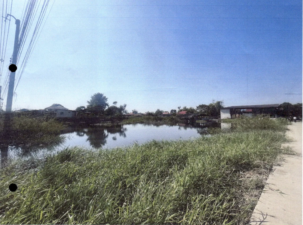 ขายทอดตลาด ที่ดินว่างเปล่า ต.ตะค่า อ.บางปลาม้า จ.สุพรรณบุรี