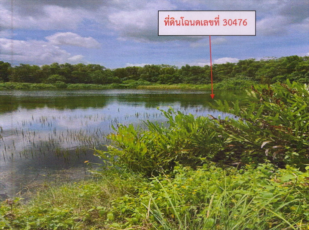 ขายทอดตลาด ที่ดินว่างเปล่า ต.กะแดะ อ.กาญจนดิษฐ์ จ.สุราษฎร์ธานี
