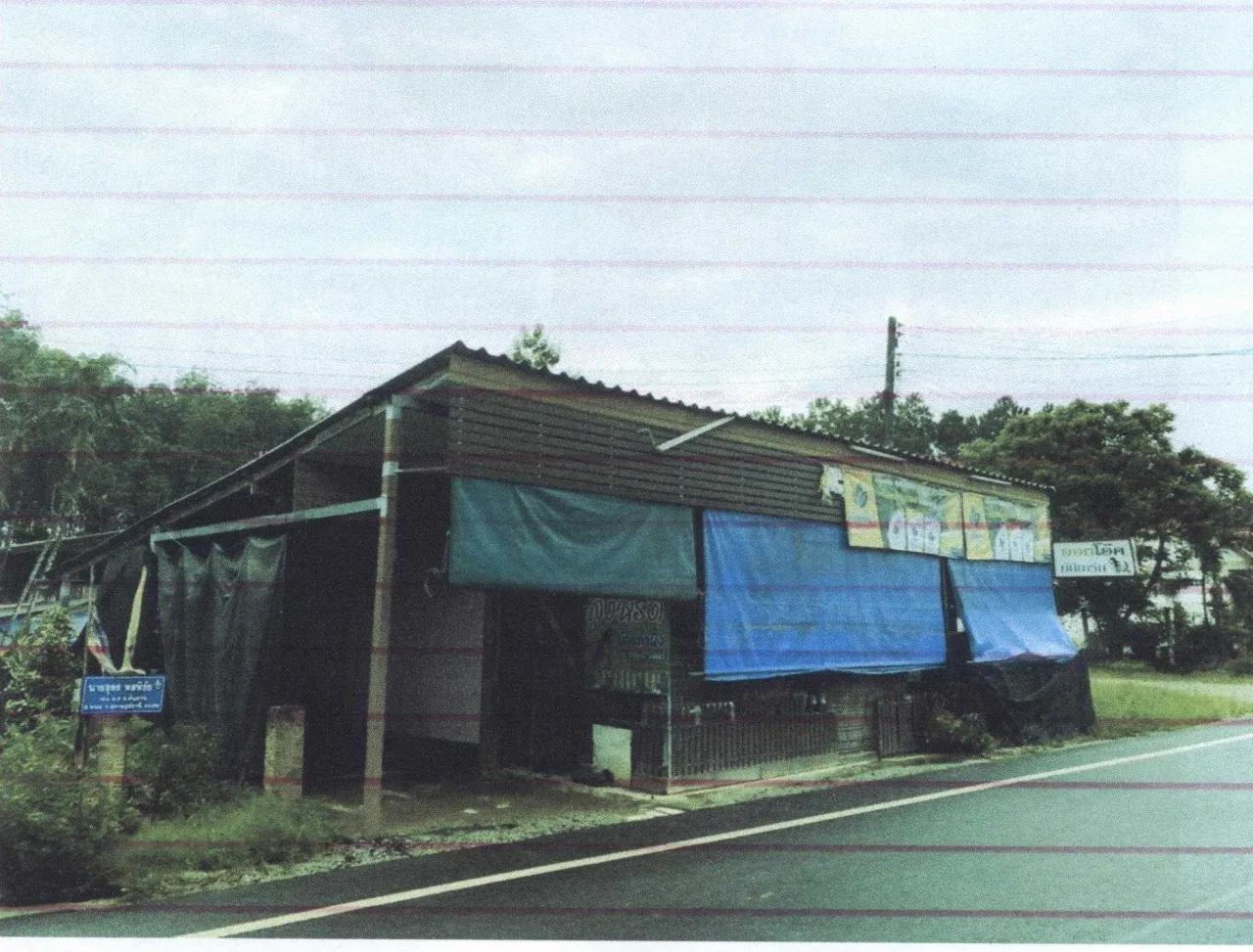 ขายทอดตลาด ที่ดินพร้อมสิ่งปลูกสร้าง ต.ต้นยวน อ.พนม จ.สุราษฎร์ธานี