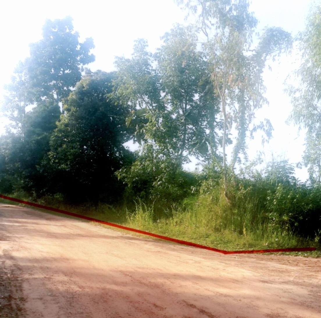 ขายทอดตลาด ที่ดินว่างเปล่า ต.คันไร่ อ.สิรินธร จ.อุบลราชธานี