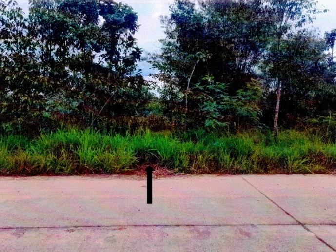 ขายทอดตลาด ที่ดินว่างเปล่า จ.หนองคาย