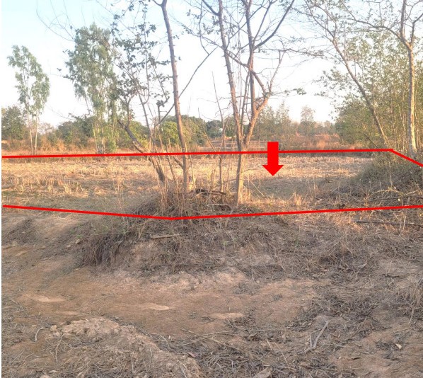 ขายทอดตลาด ที่ดินว่างเปล่า ต.ขุหลุ อ.ตระการพืชผล จ.อุบลราชธานี