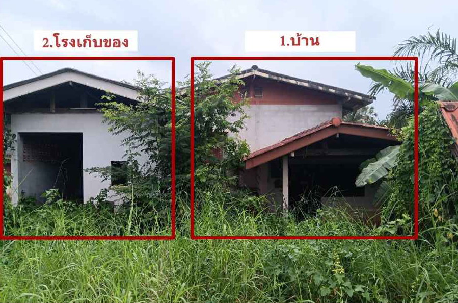 ขายทอดตลาด ที่ดินพร้อมสิ่งปลูกสร้าง ต.ทุ่งกง อ.กาญจนดิษฐ์ จ.สุราษฎร์ธานี