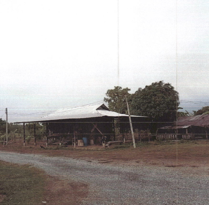 ขายทอดตลาด ที่ดินพร้อมสิ่งปลูกสร้าง ต.ไร่รถ อ.ดอนเจดีย์ จ.สุพรรณบุรี
