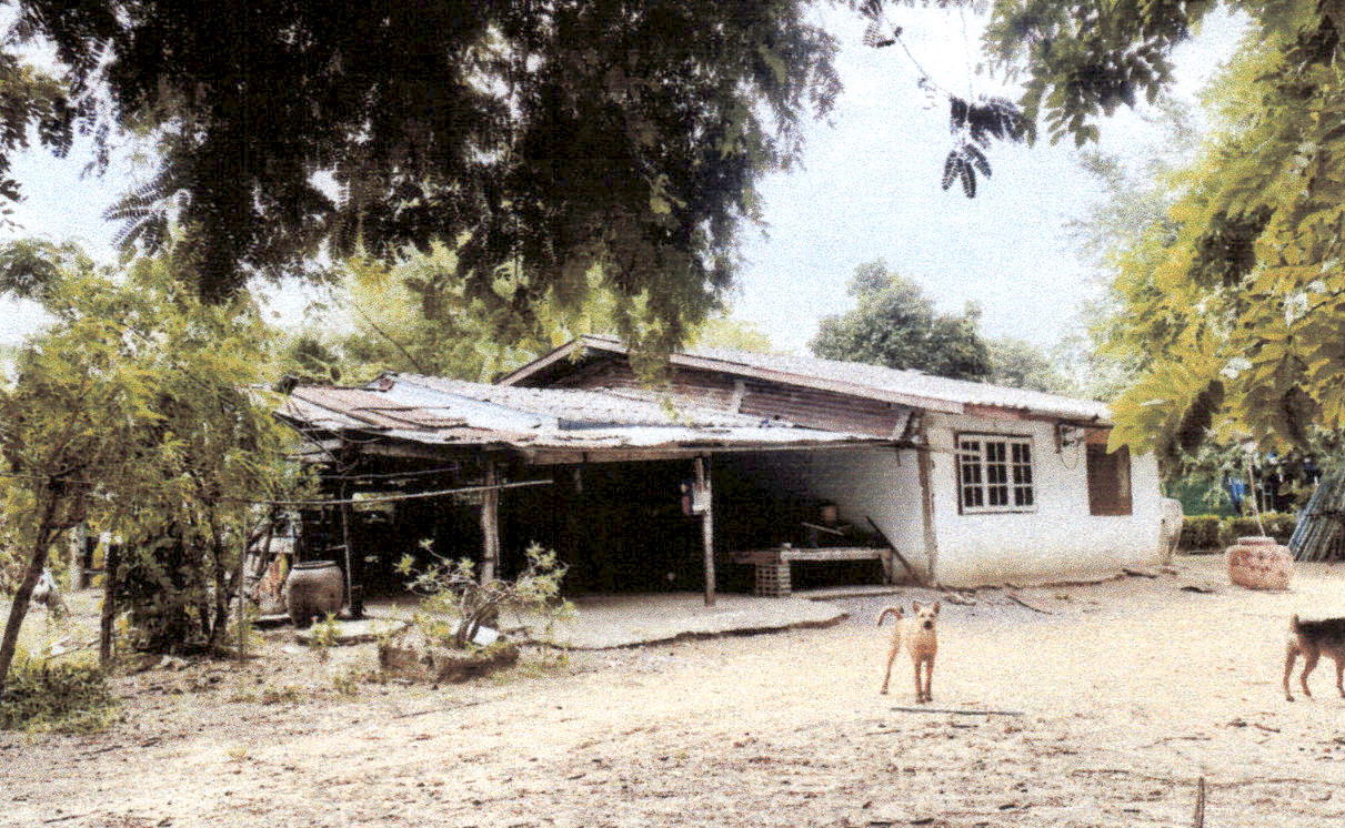 ขายทอดตลาด ที่ดินพร้อมสิ่งปลูกสร้าง ต.แจงงาม อ.หนองหญ้าไซ จ.สุพรรณบุรี