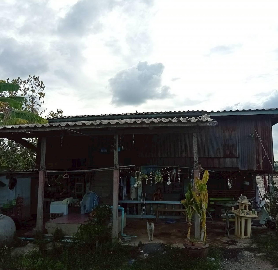 ขายทอดตลาด ที่ดินพร้อมสิ่งปลูกสร้าง ต.บางตาเถร อ.สองพี่น้อง จ.สุพรรณบุรี