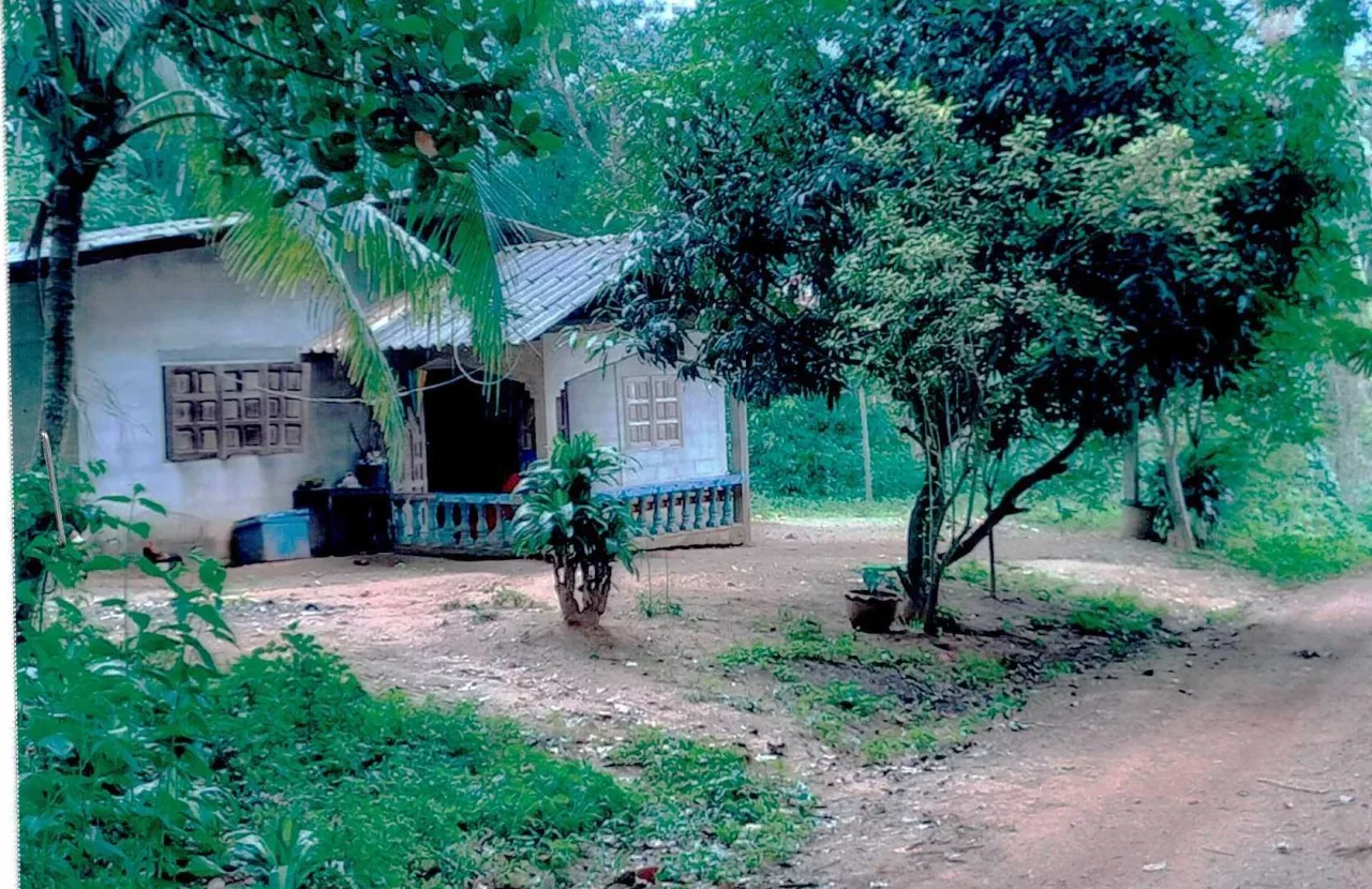 ขายทอดตลาด ที่ดินพร้อมสิ่งปลูกสร้าง ต.ถ้ำสิงขร อ.คีรีรัฐนิคม จ.สุราษฎร์ธานี