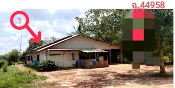 ขายทอดตลาด ที่ดินพร้อมสิ่งปลูกสร้าง ต.หนองนาง อ.ท่าบ่อ จ.หนองคาย