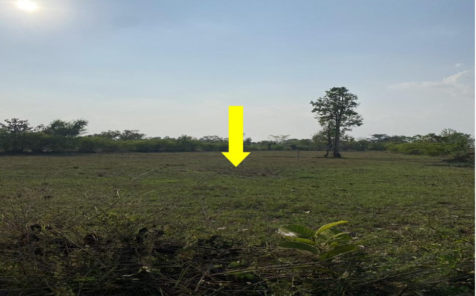 ขายทอดตลาด ที่ดินว่างเปล่า ต.โพนเมือง อ.เหล่าเสือโก้ก จ.อุบลราชธานี