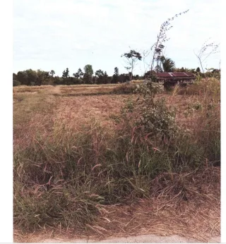 รูปทรัพย์ 2