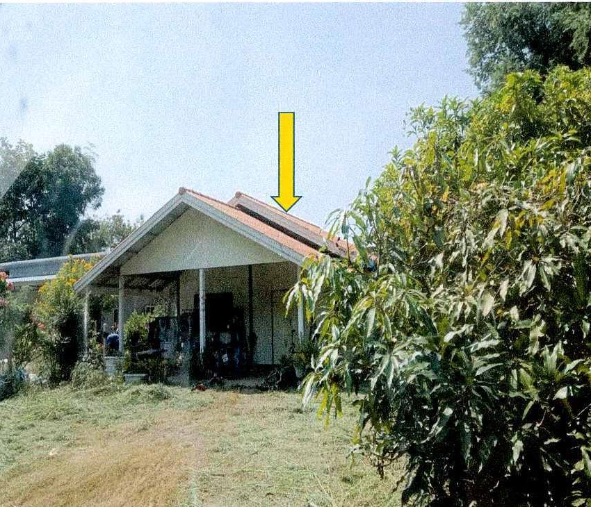 ขายทอดตลาด ที่ดินพร้อมสิ่งปลูกสร้าง ต.ค่ายบกหวาน อ.เมืองหนองคาย จ.หนองคาย