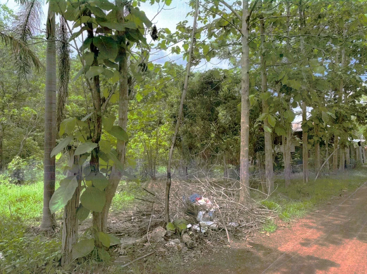 ขายทอดตลาด ที่ดินว่างเปล่า ต.ปะโค อ.เมืองหนองคาย จ.หนองคาย